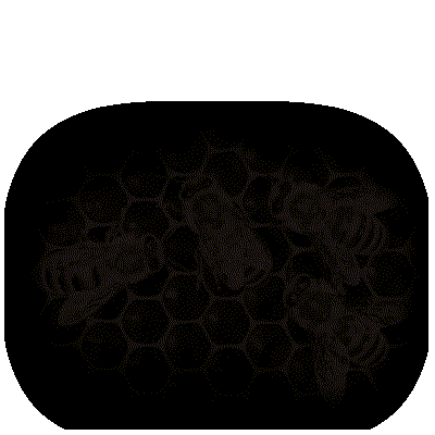click to skip intro